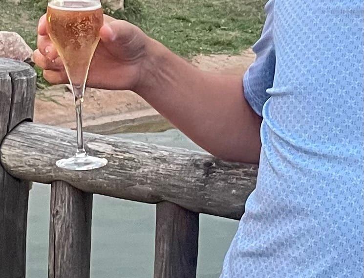 Profil von Massoud